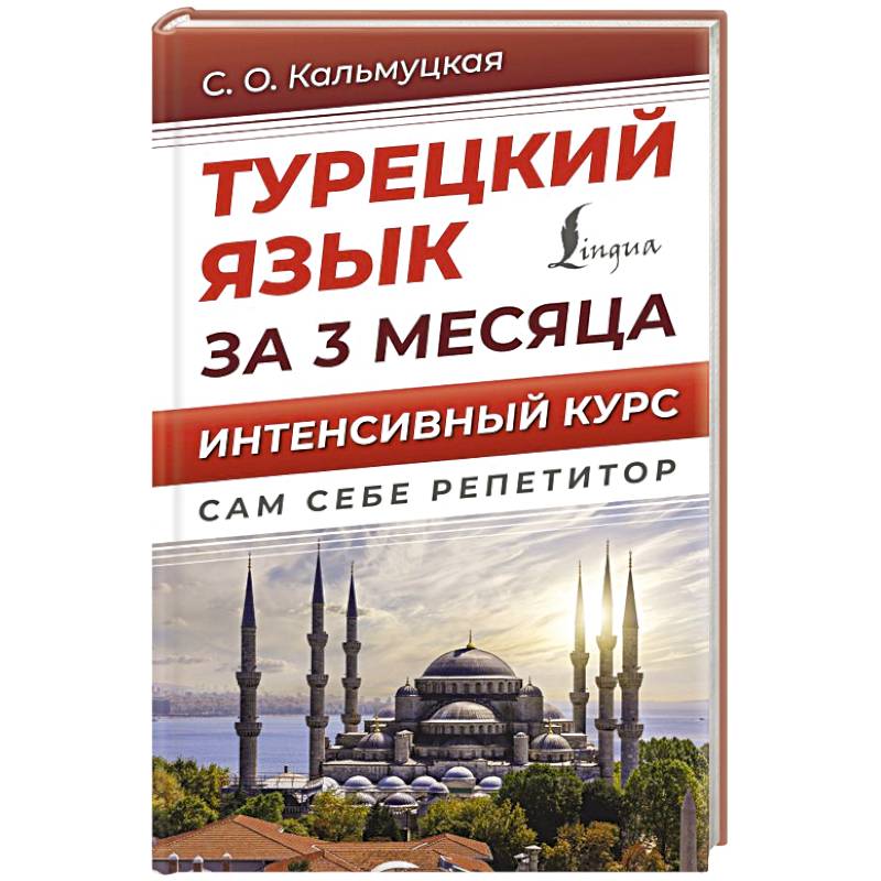 Турецкий язык за 3 месяца. Интенсивный курс Турецкий язык за 3 месяца. Интенсивный курс