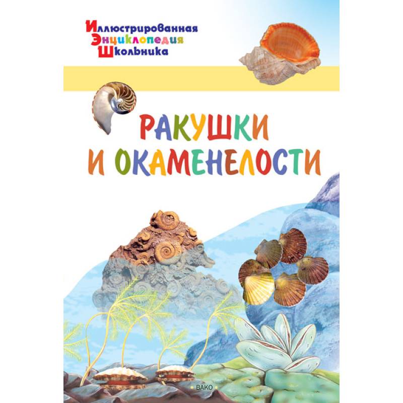 Ракушки и окаменелости Ракушки и окаменелости