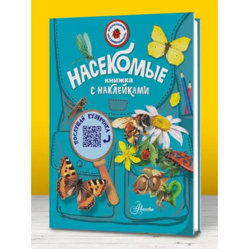Насекомые Насекомые