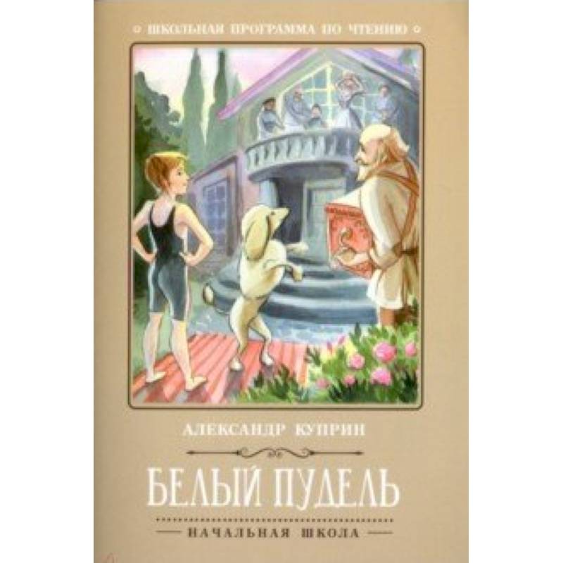 Белый пудель Белый пудель