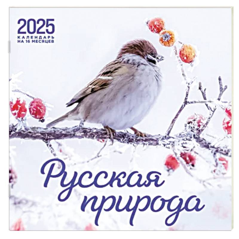 Русская природа. Календарь настенный на 16 месяцев на 2025 год