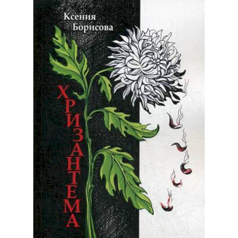 Хризантема