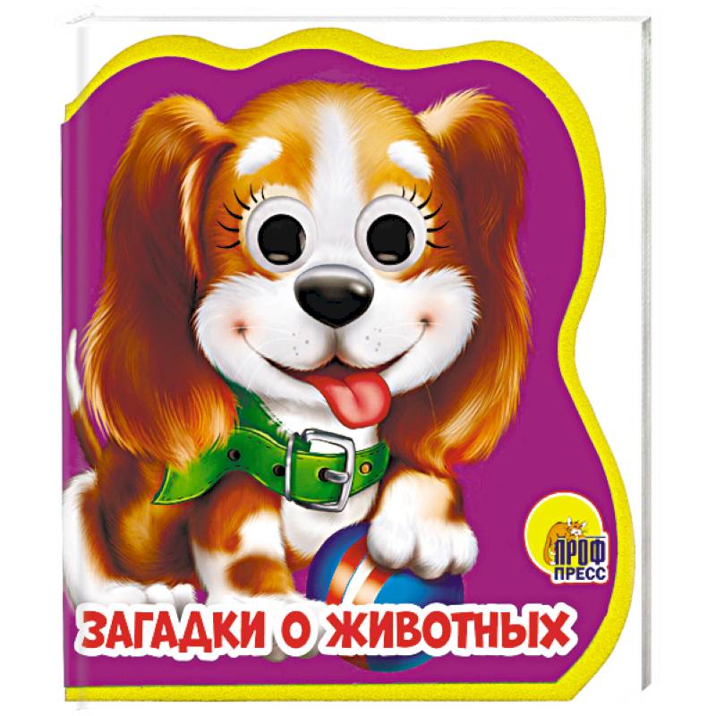 Загадки о животных Загадки о животных