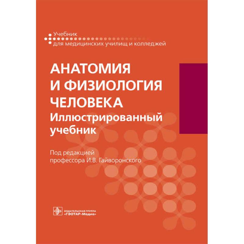 Анатомия учебник. Гайворонский, и. в. анатомия и физиология человека. Иллюстрированный. Учебник по анатомии и физиологии Гайворонский Ничипорук СПО. Гайворонский Ничипорук анатомия и физиология человека. Анатомия учебник для мед Гайворонский.