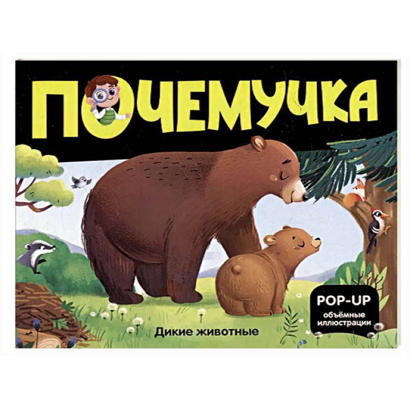 Книжка с окошками. Секреты времени