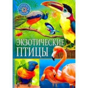 Экзотические птицы