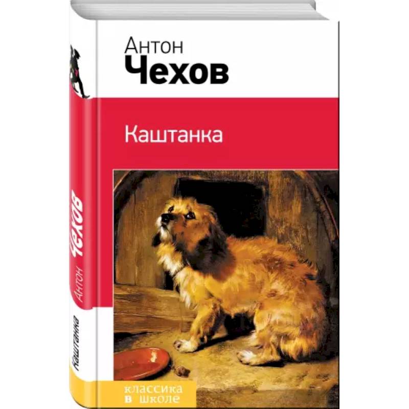 Каштанка Каштанка