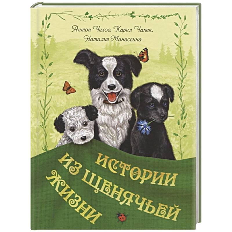 Истории из щенячьей жизни Истории из щенячьей жизни