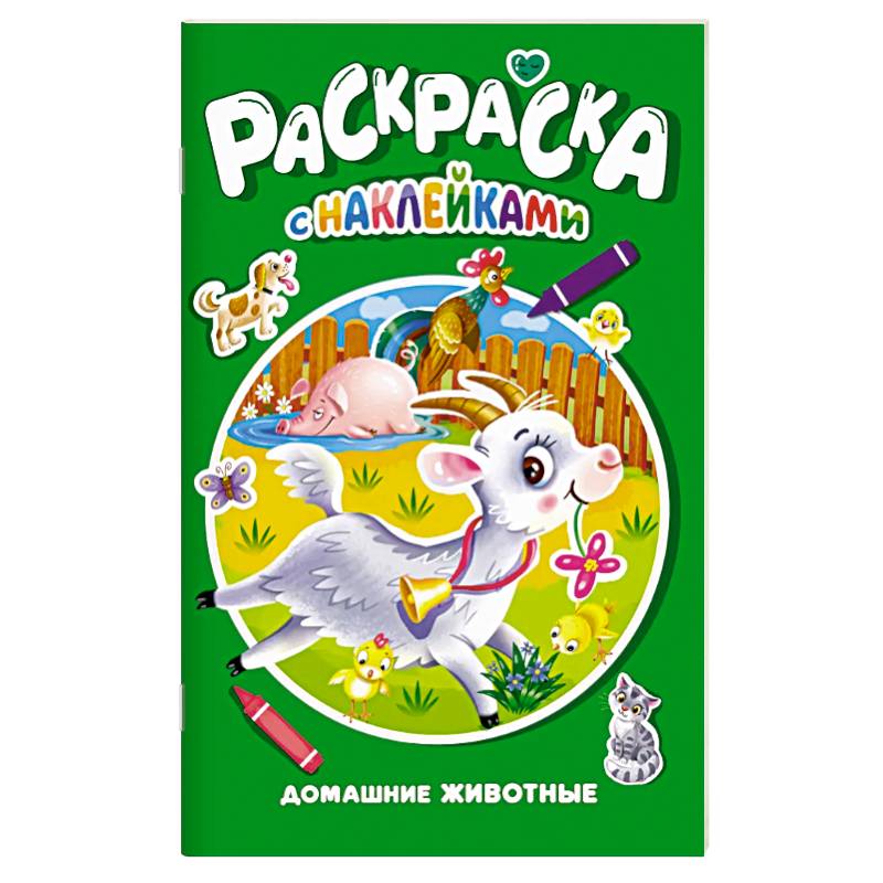 Домашние животные Домашние животные