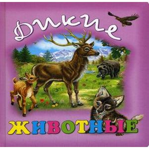Дикие  животные Дикие  животные