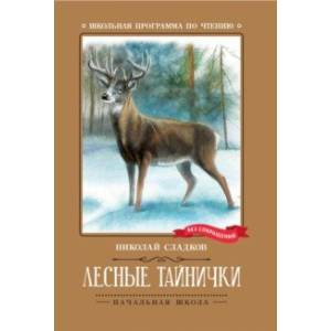 Лесные тайнички Лесные тайнички