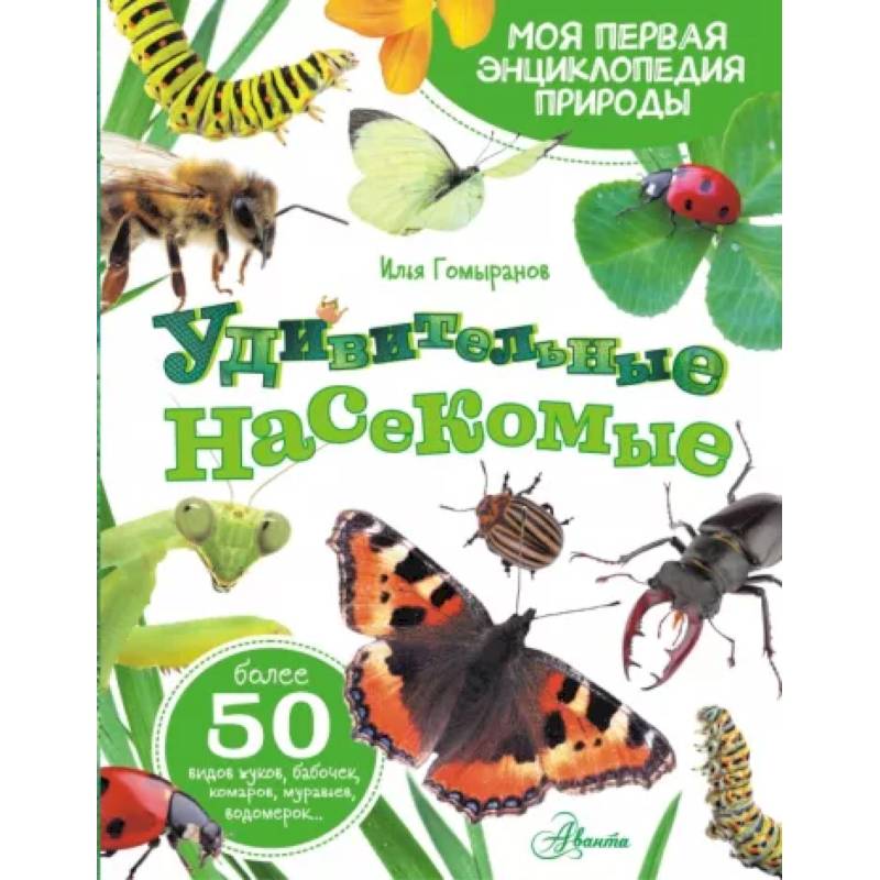 Удивительные насекомые Удивительные насекомые