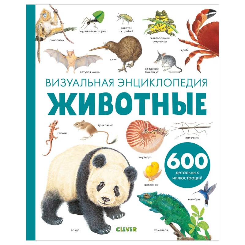 Животные. Визуальная энциклопедия Животные. Визуальная энциклопедия
