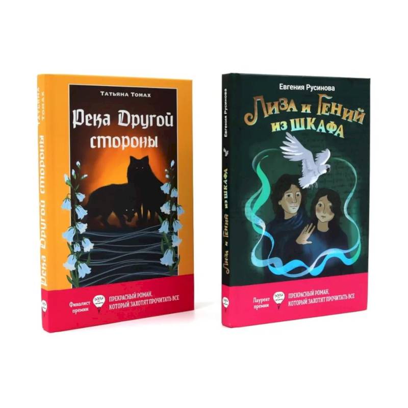 Лиза и гений из шкафа. Река Другой стороны
