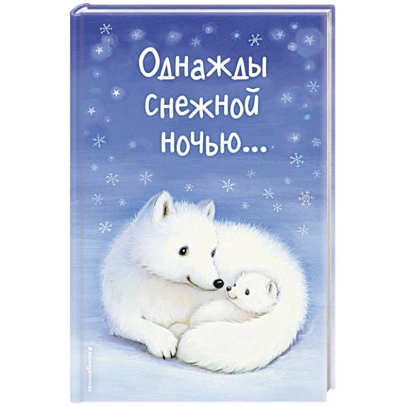 Однажды снежной ночью... Однажды снежной ночью...