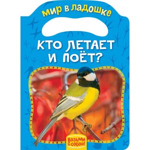 Кто летает и поёт? Кто летает и поёт?