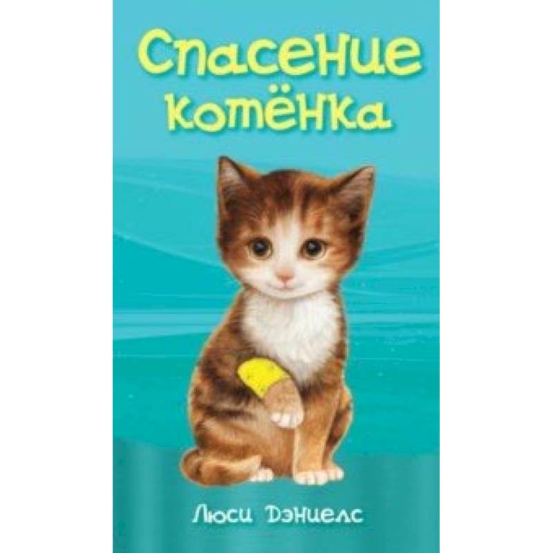 Спасение котенка Спасение котенка