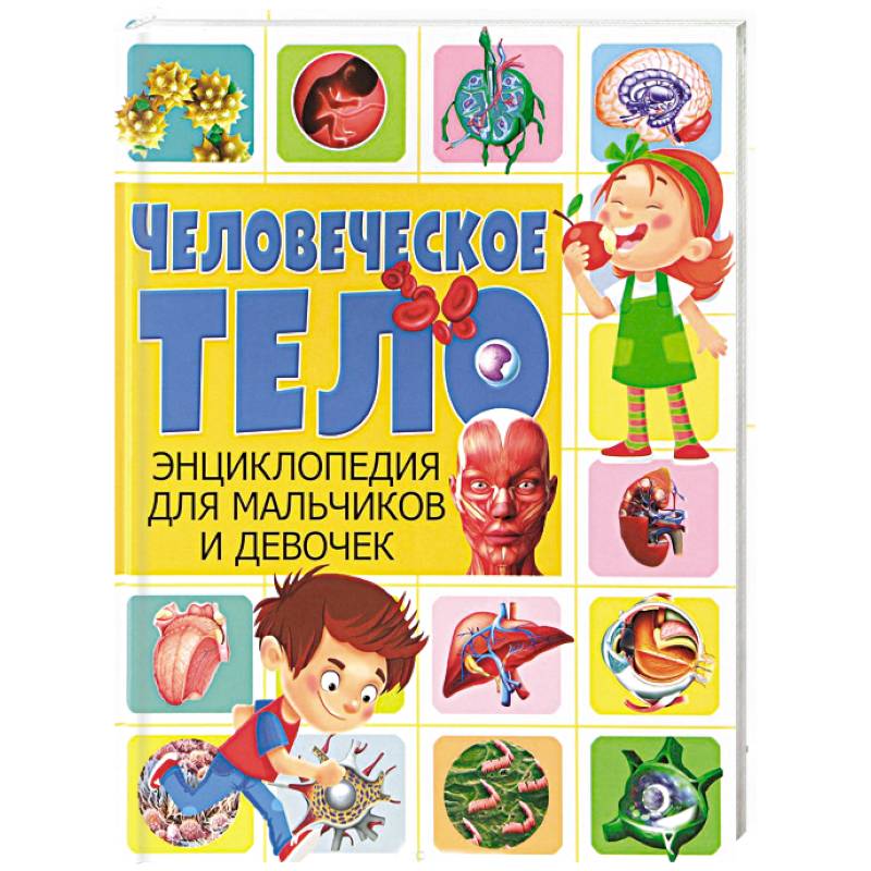 Человеческое тело. Энциклопедия для мальчиков и девочек