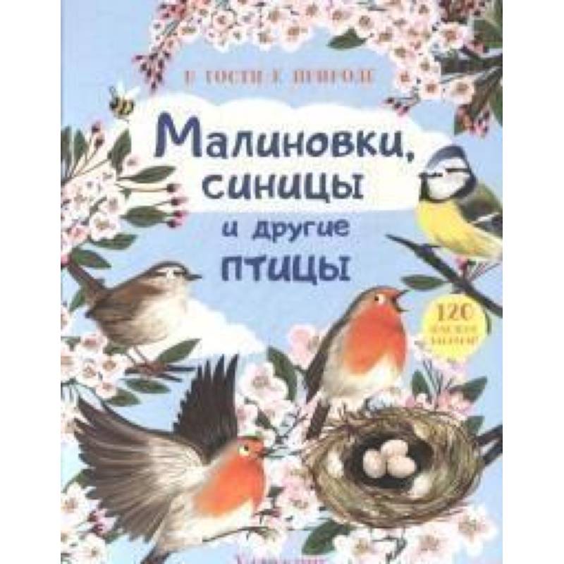 В гости к природе. Малиновки, синицы и другие птицы В гости к природе. Малиновки, синицы и другие птицы