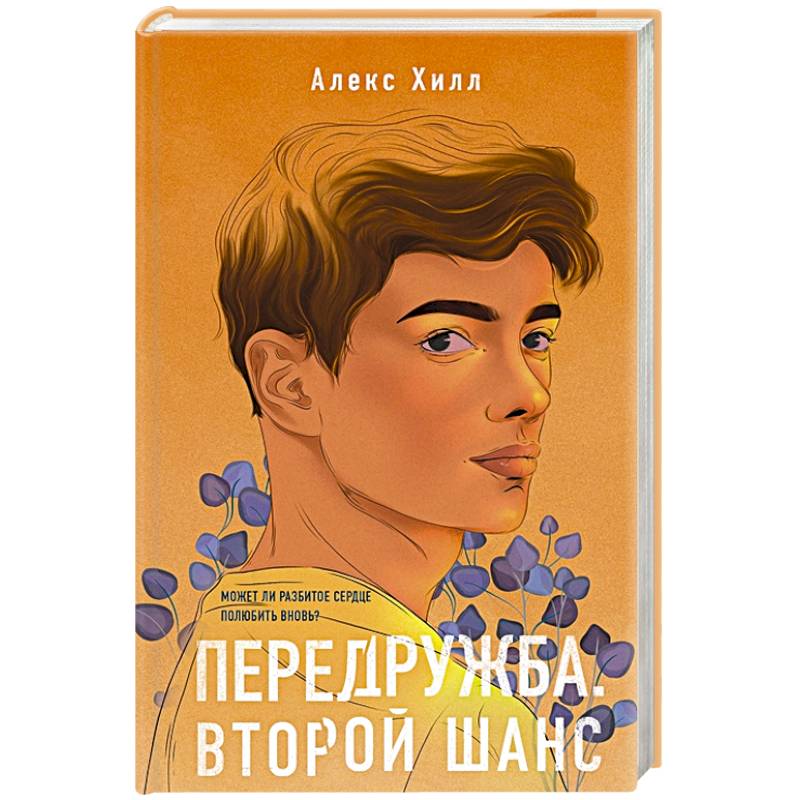 Передружба. Второй шанс Передружба. Второй шанс