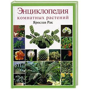 Энциклопедия комнатных растений