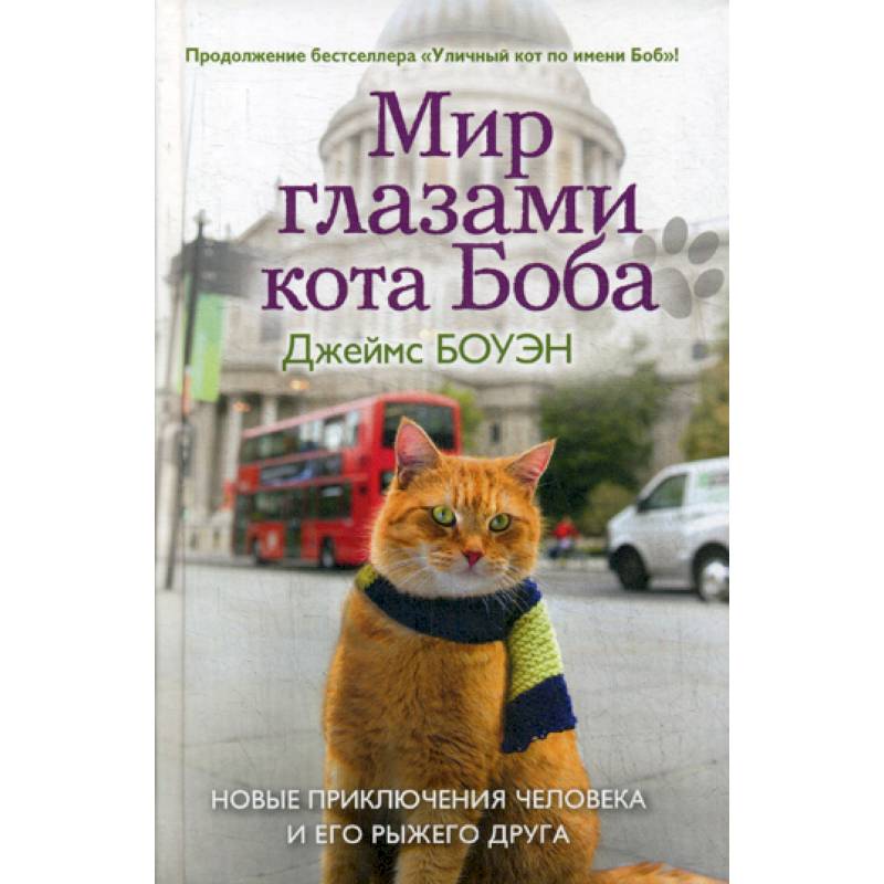 Мир глазами кота Боба