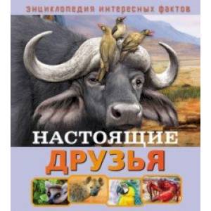 Настоящие друзья Настоящие друзья