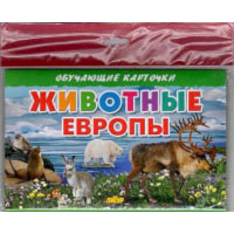 Животные Европы Животные Европы