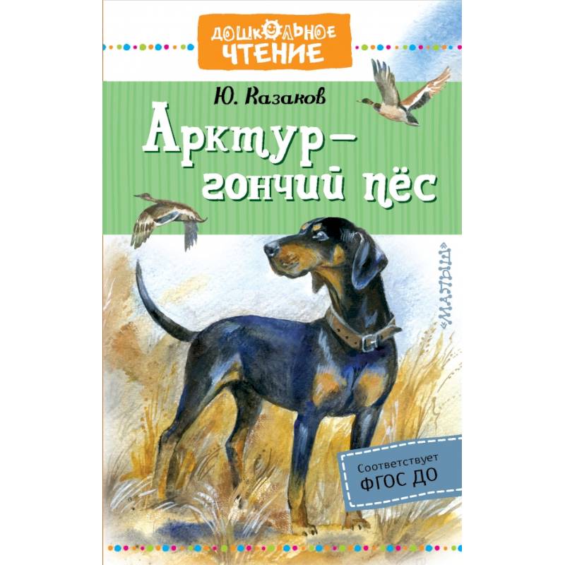 Арктур - гончий пес Арктур - гончий пес