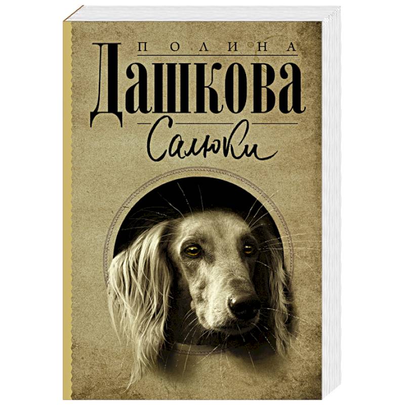 Салюки Салюки