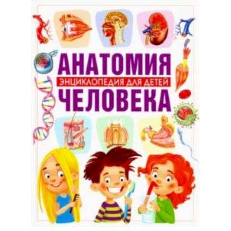 Анатомия человека. Энциклопедия для детей Анатомия человека. Энциклопедия для детей
