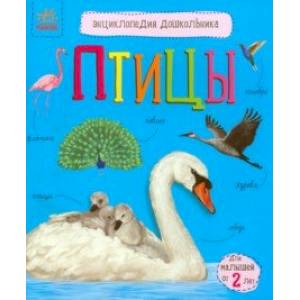 Птицы Птицы