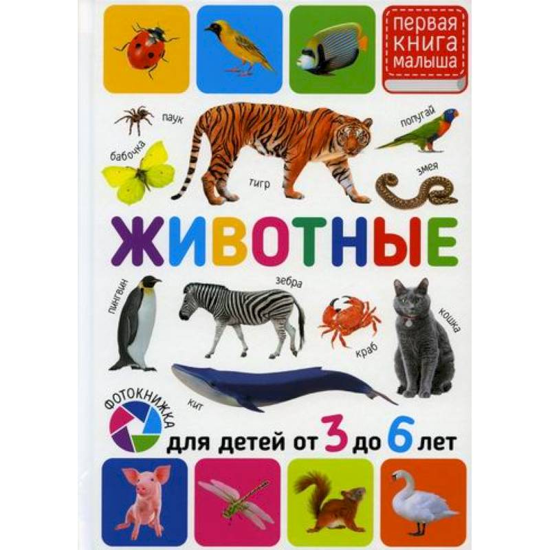 Животные. Для детей от 3 до 6 лет Животные. Для детей от 3 до 6 лет