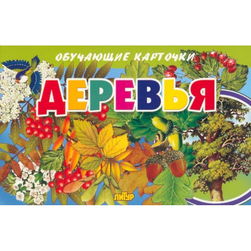 Карточки. Деревья Карточки. Деревья