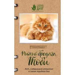 Рыжий бродяга Тоби. Кот, подаривший утешение в самые трудные дни Рыжий бродяга Тоби. Кот, подаривший утешение в самые трудные дни