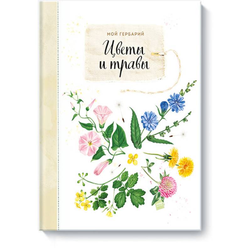 Мой гербарий. Цветы и травы