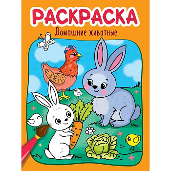Раскраска. Домашние животные Раскраска. Домашние животные