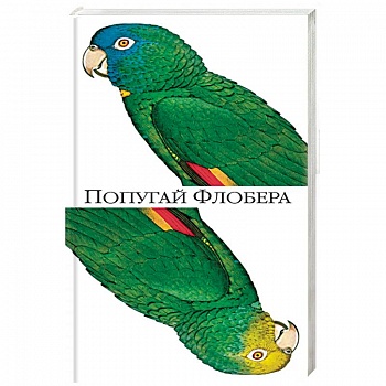 Попугай Флобера Попугай Флобера