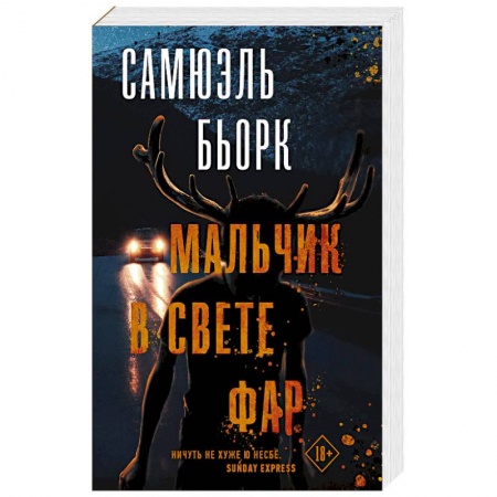 Зарубежный детектив, книга Мальчик в свете фар купить по скидке