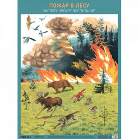 Познавательная литература, книга Пожар в лесу. Экологическое вопитание купить по скидке