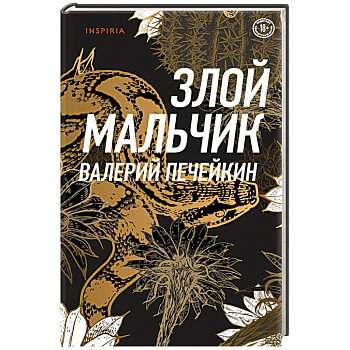 Злой мальчик Злой мальчик
