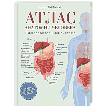 Атлас анатомии человека. Пищеварительная система