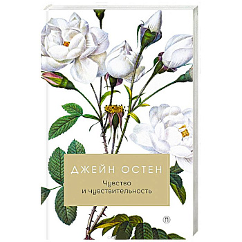 Чувство и чувствительность Чувство и чувствительность