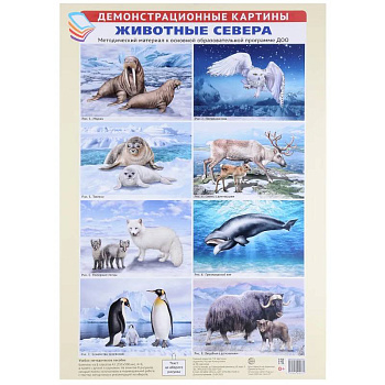 Животные Севера. Методический материал к основной образовательной программе ДОО (8 плакатов)
