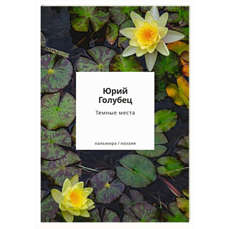 Русская поэзия, книга Темные места. Вторая книга песен купить по скидке