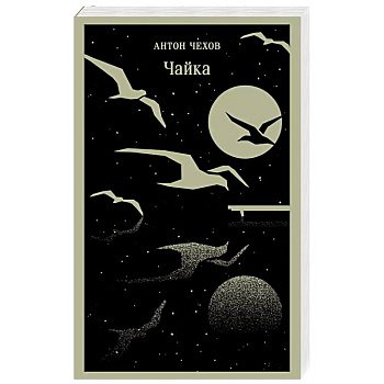 Чайка Чайка