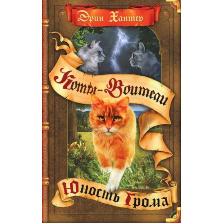 Мистика. Фантастика. Фэнтези, книга Коты-воители. Юность Грома купить по скидке