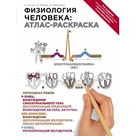 Медицинские энциклопедии и справочники, книга Физиология человека: атлас-раскраска купить по скидке