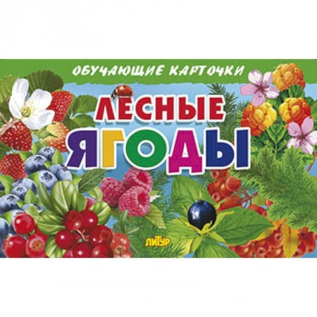 Окружающий мир, книга Лесные ягоды. Обучающие карточки купить по скидке