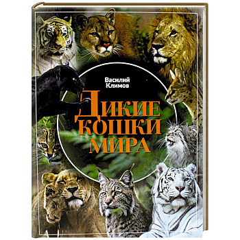 Дикие кошки мира